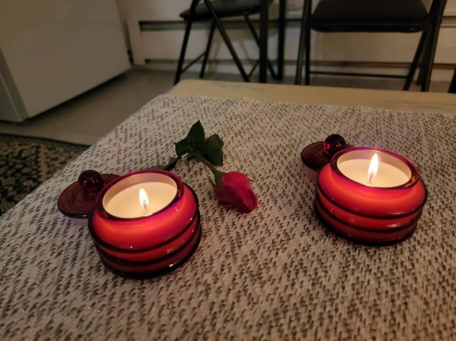 Comfy And Chic Boston Apartment! Free Parking Bagian luar foto